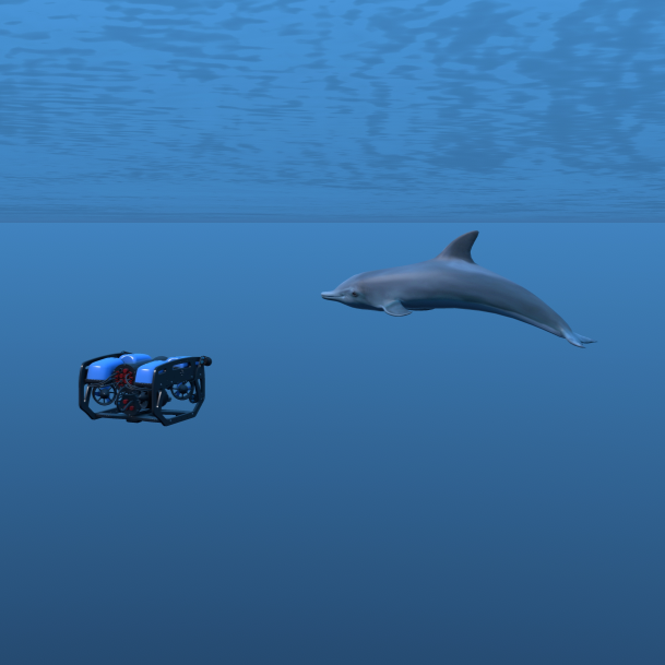 swimm